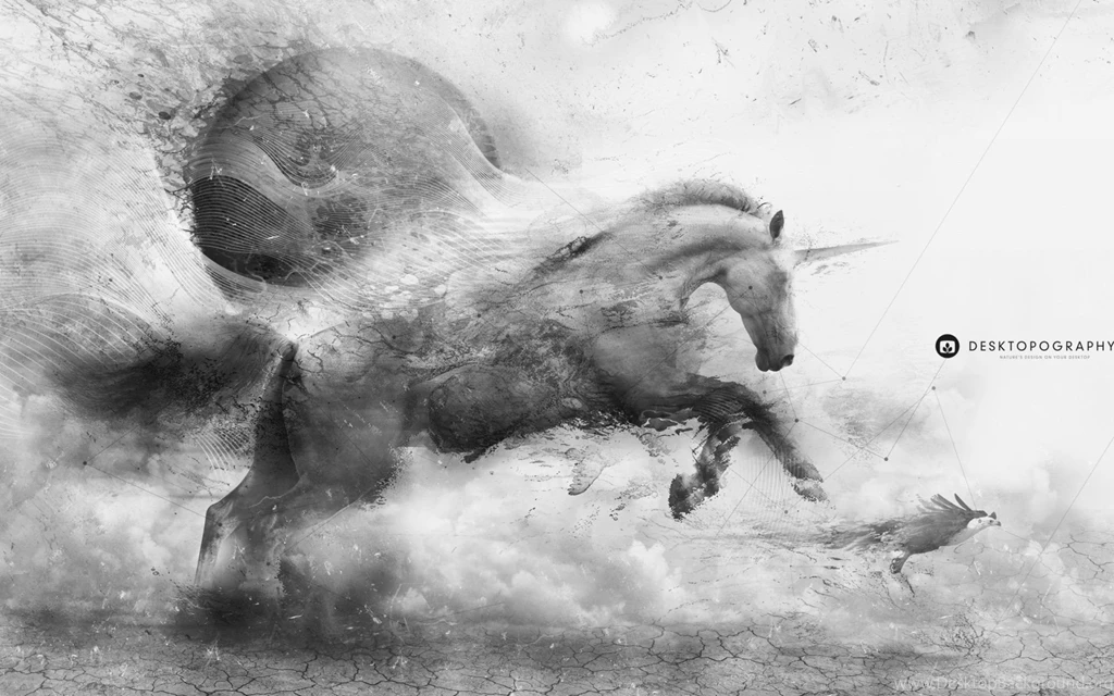 Horse Ride Wallpapers