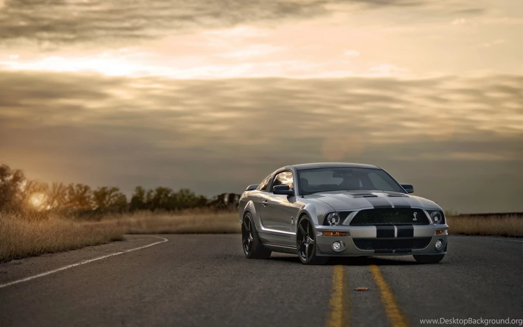 Download Wallpapers 3840x2400 Ford, Mustang, Shelby, Silver, Muscle ...