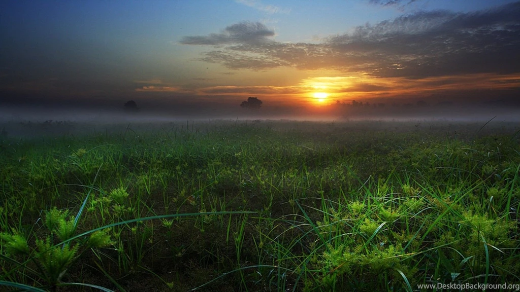1920x1080 Wallpapers Nature