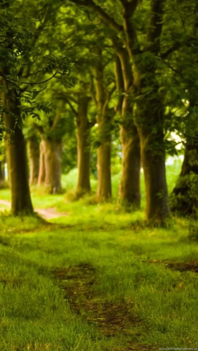 Top Nature Iphone Background Images For Pinterest