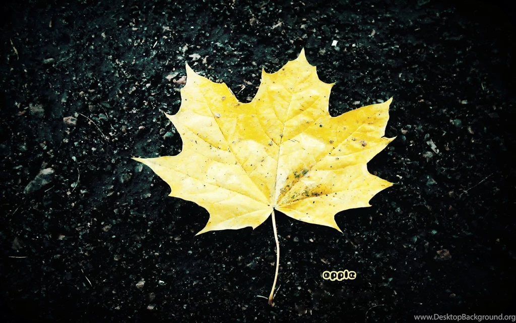 HD Nature Wallpapers For Mac STAY027