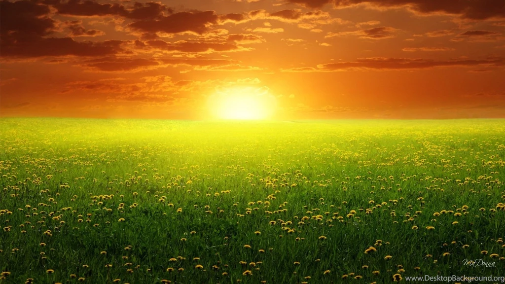 Bright Wallpapers Wallpapers