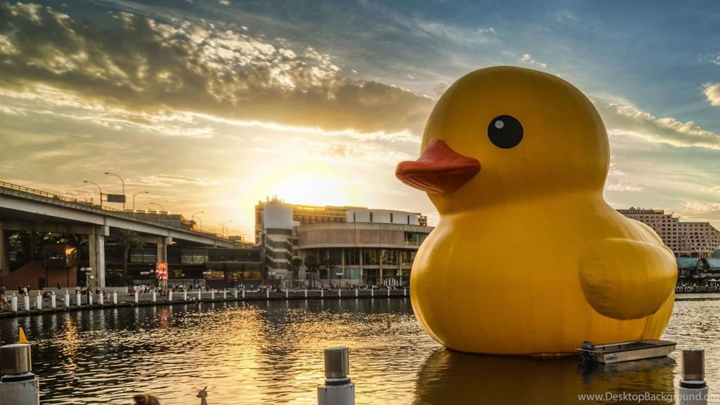 1920x1080 Rubber Duck City Wallpapers