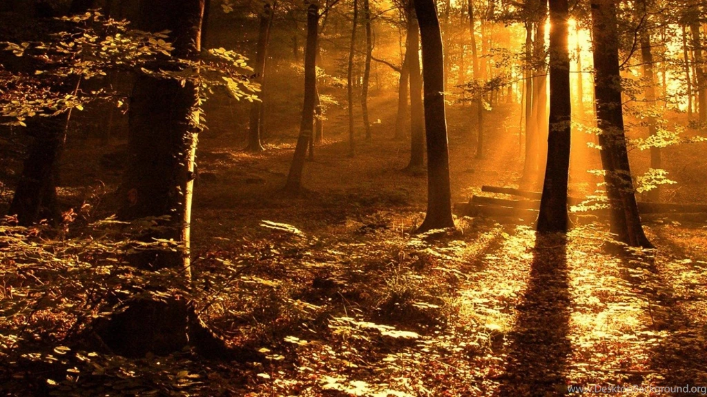 Awesome Wallpapers Awesome Wallpapers (
