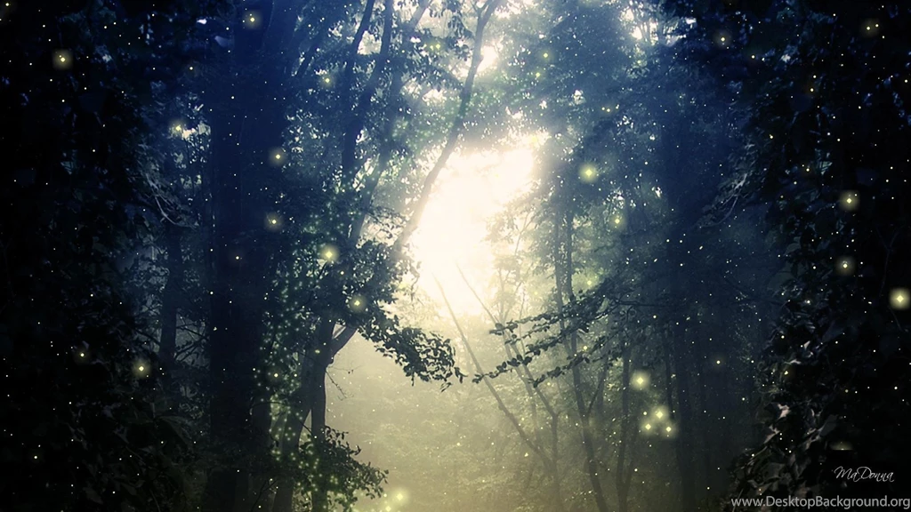 Fireflies Wallpapers