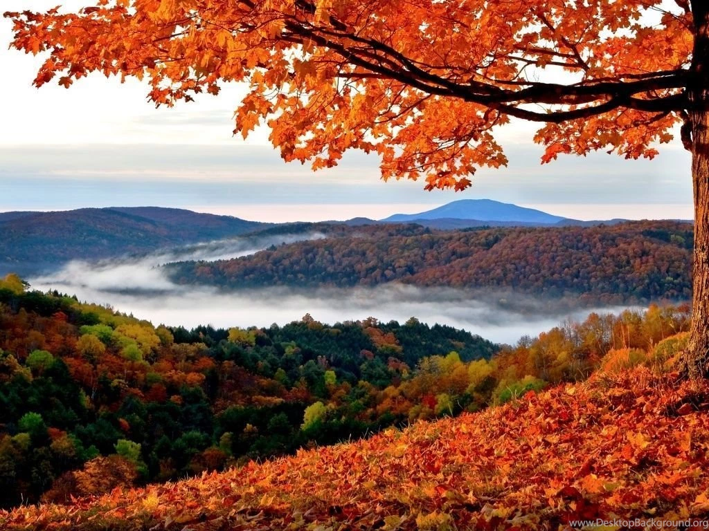 1024x768 Red Autumn Wallpapers