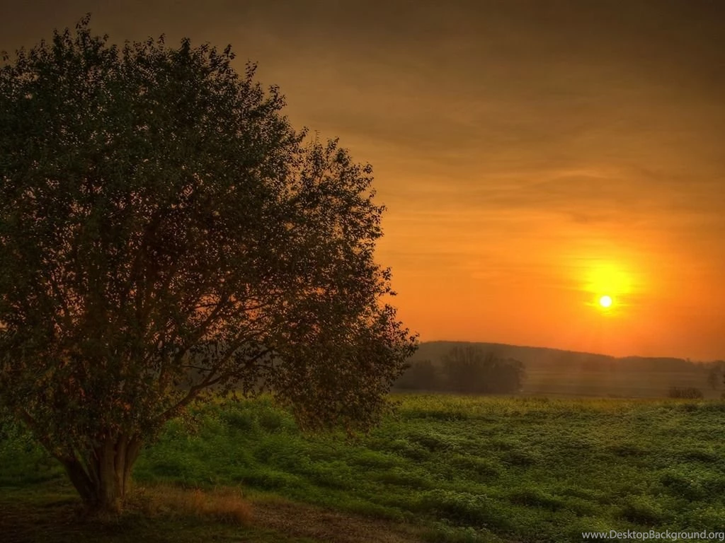 HD Nature Wallpapers