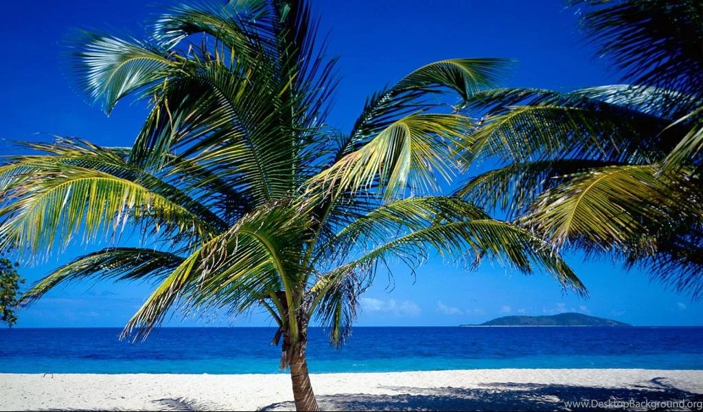 St. Croix US Virgin Islands Hd 1080P Hd Wallpapers 1024x600 ...