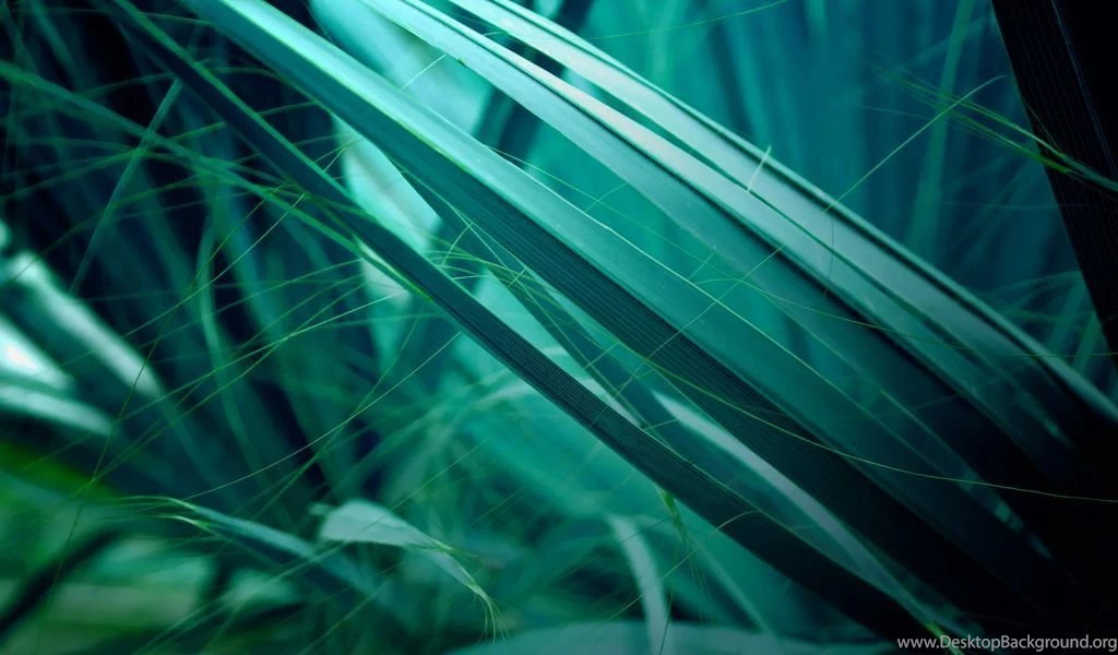 1024x600 Zixpk Hd 233 Ll Dump Some Of My