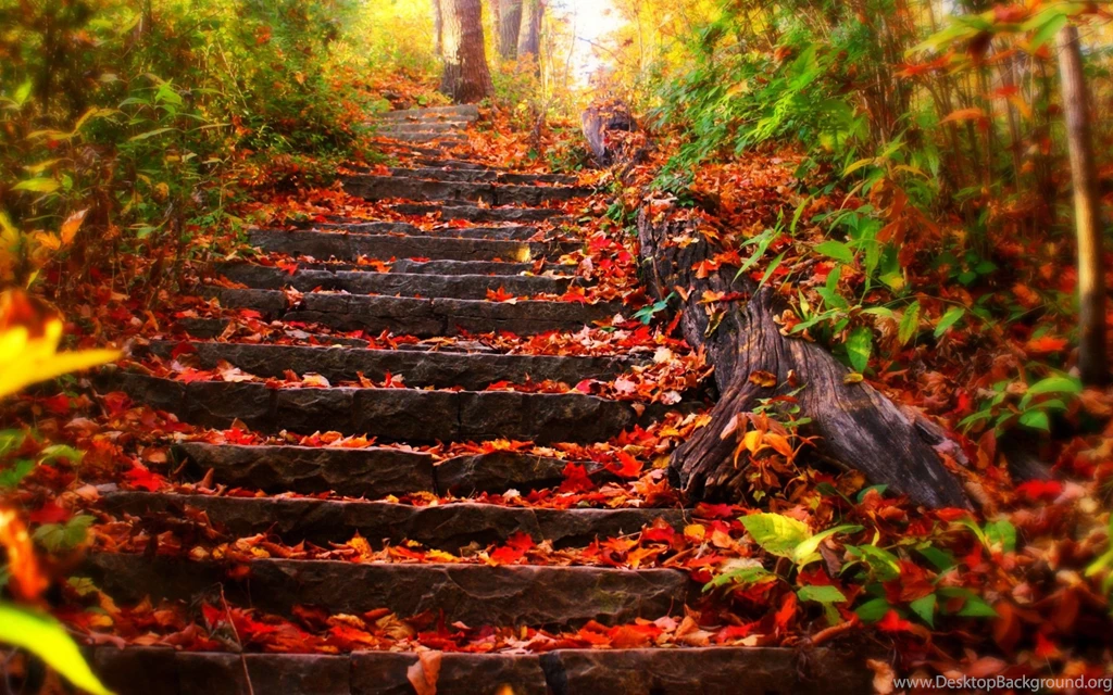 Autumn Wallpapers 1024X768   1771243