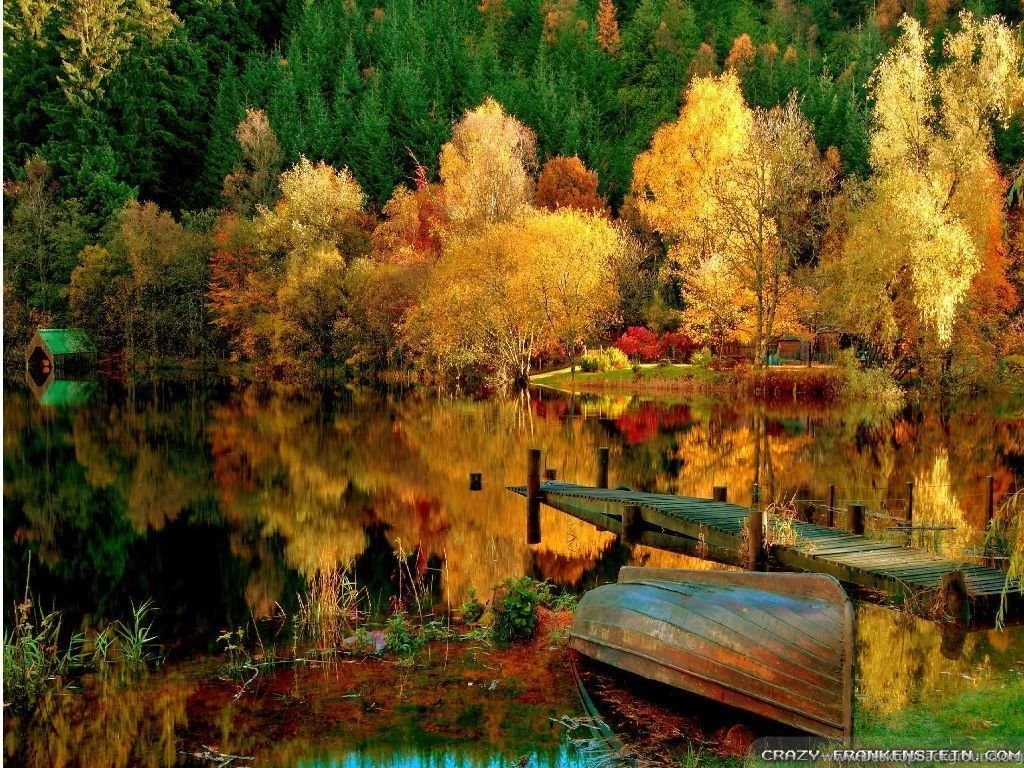 Autumn Woods Wallpapers Seasonal Crazy Frankenstein