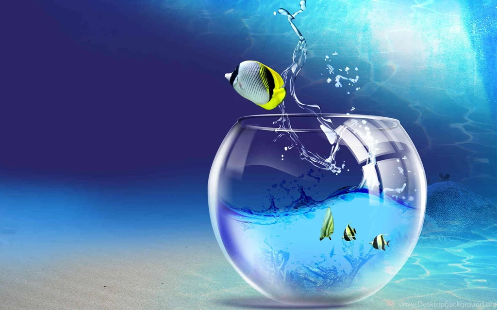 Top Related Wallpapers My Computer Images For Pinterest