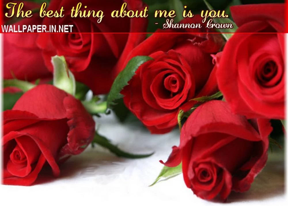 Fantastic Good Morning HD Wallpapers Free Download For Laptop.jpg