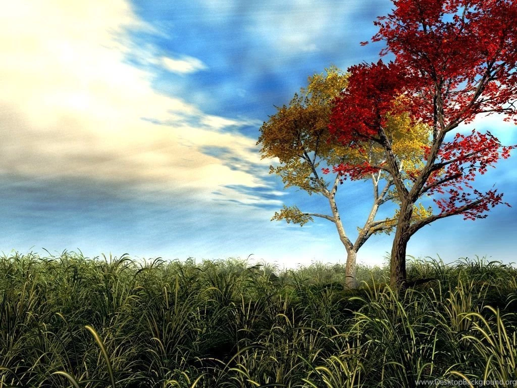 Free Downloadable 3d Wallpapers: 3D By Free Download Best HD ...