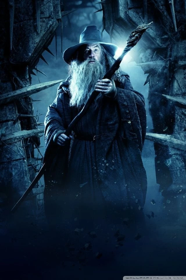 THE HOBBIT THE DESOLATION OF SMAUG Gandalf The Grey HD Desktop ...