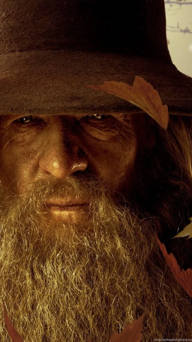 Gandalf 640x1136.jpg