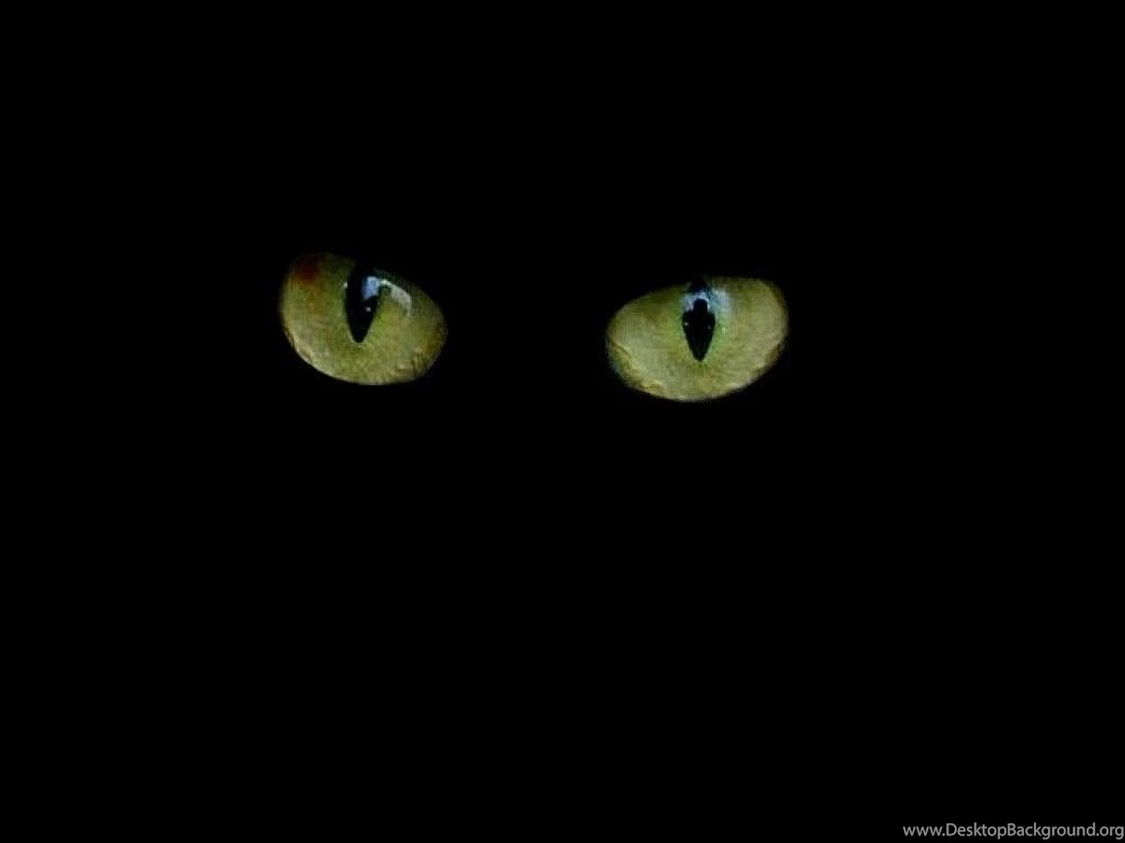 Black Sennheiser Headphones Music Wallpapers Free Black Sennheiser ...