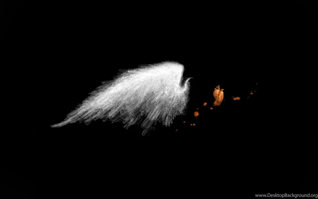 Black Wallpapers 1440x900 Wallpapers, 1440x900 Wallpapers ...