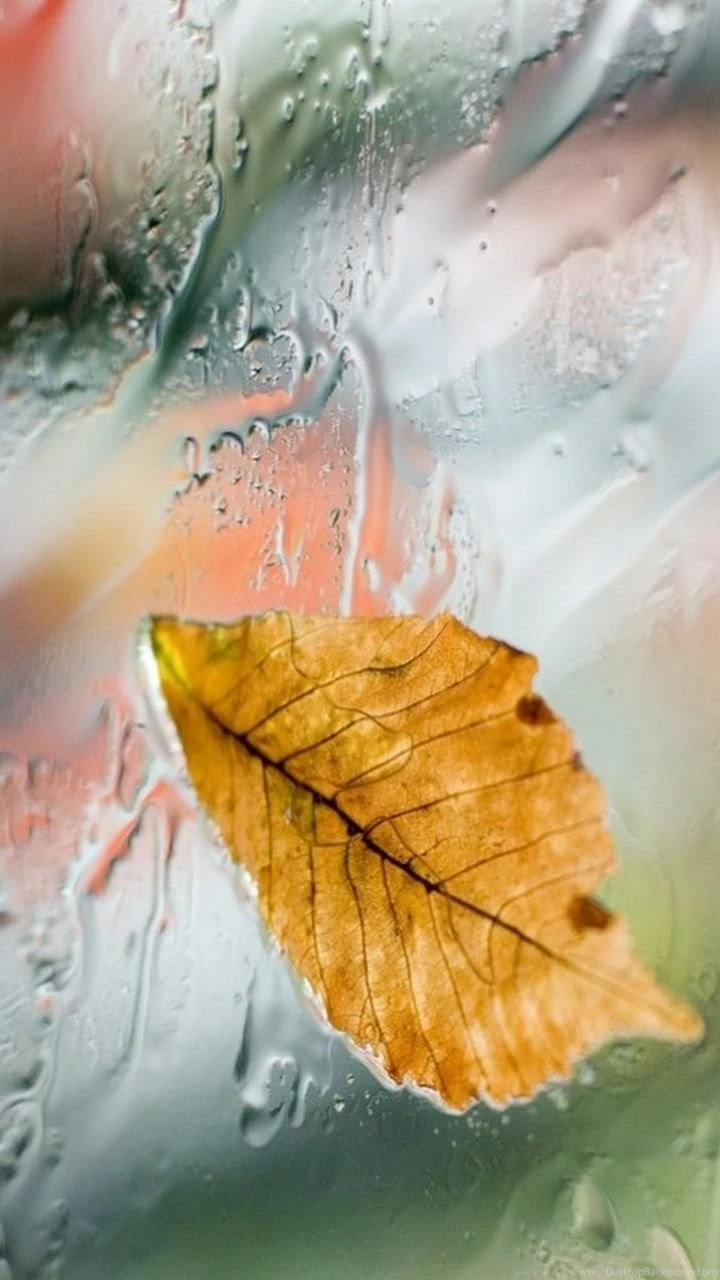 Galaxy S3 Wallpapers HD Beautiful, Stunning Wallpapers