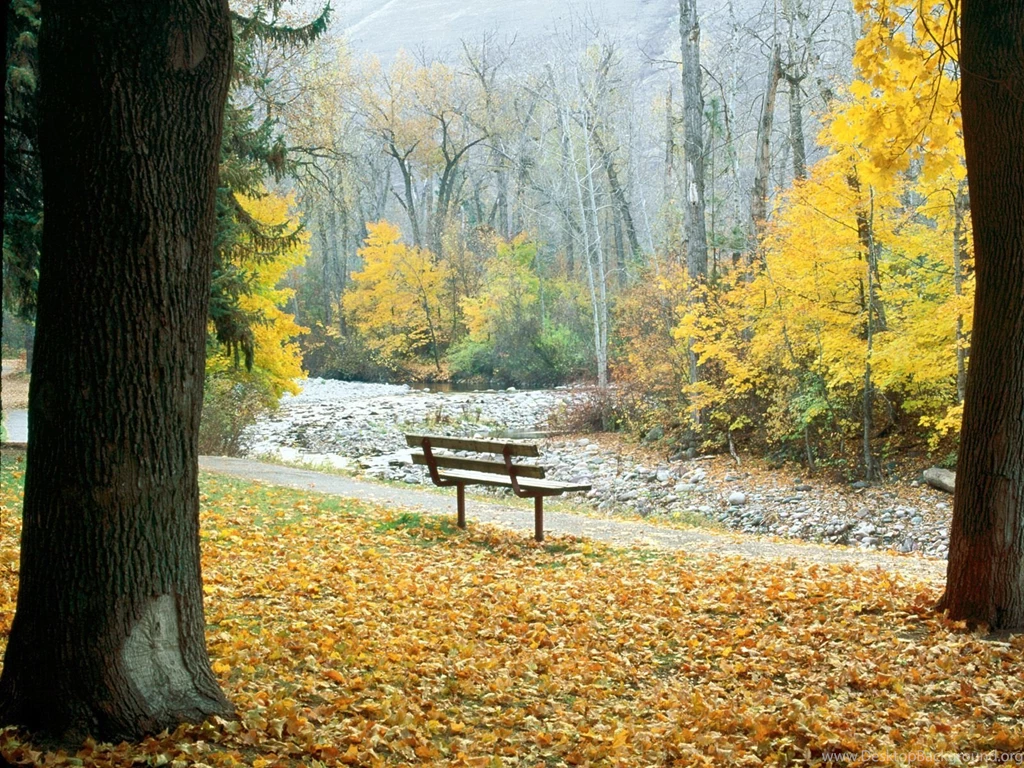 Nature Backgrounds