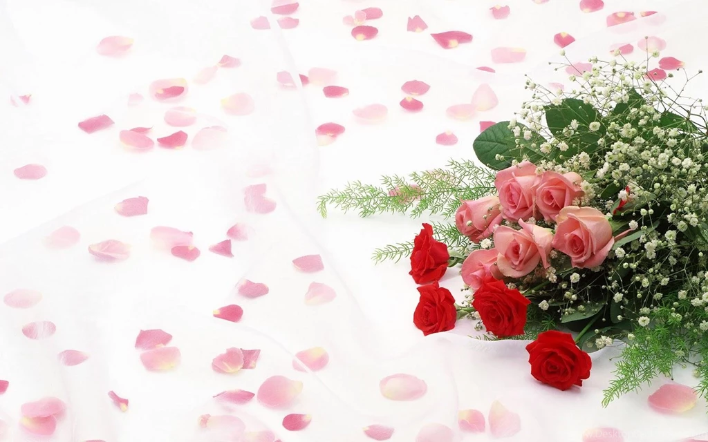 Red Roses HD Backgrounds