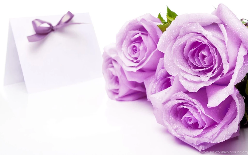 Purple Roses Backgrounds