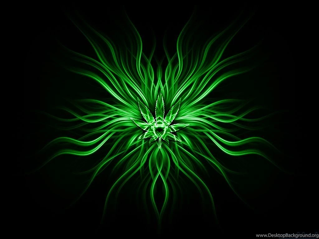 Green Computer Wallpapers, Desktop Backgrounds