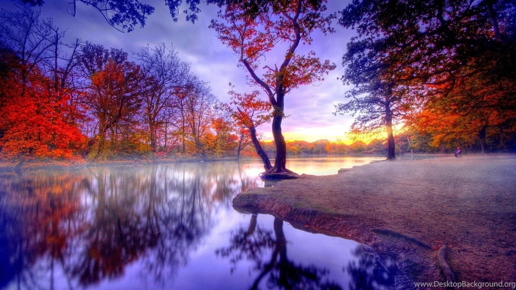 Beautiful Wallpapers