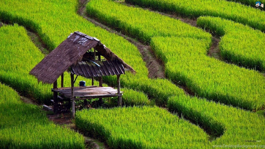 Khairoonarina: Natural Landscape And Beautiful Beaches Islands HD ...