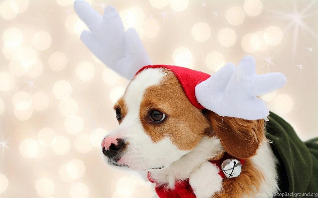 Cute Puppies Christmas Wallpapers For Desktop
