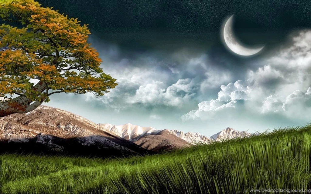 Wallpapers Joo: 3D Nature Full HD Wallpapers