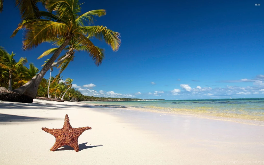 Top Beach Sand Starfish Wallpaper Images For Pinterest