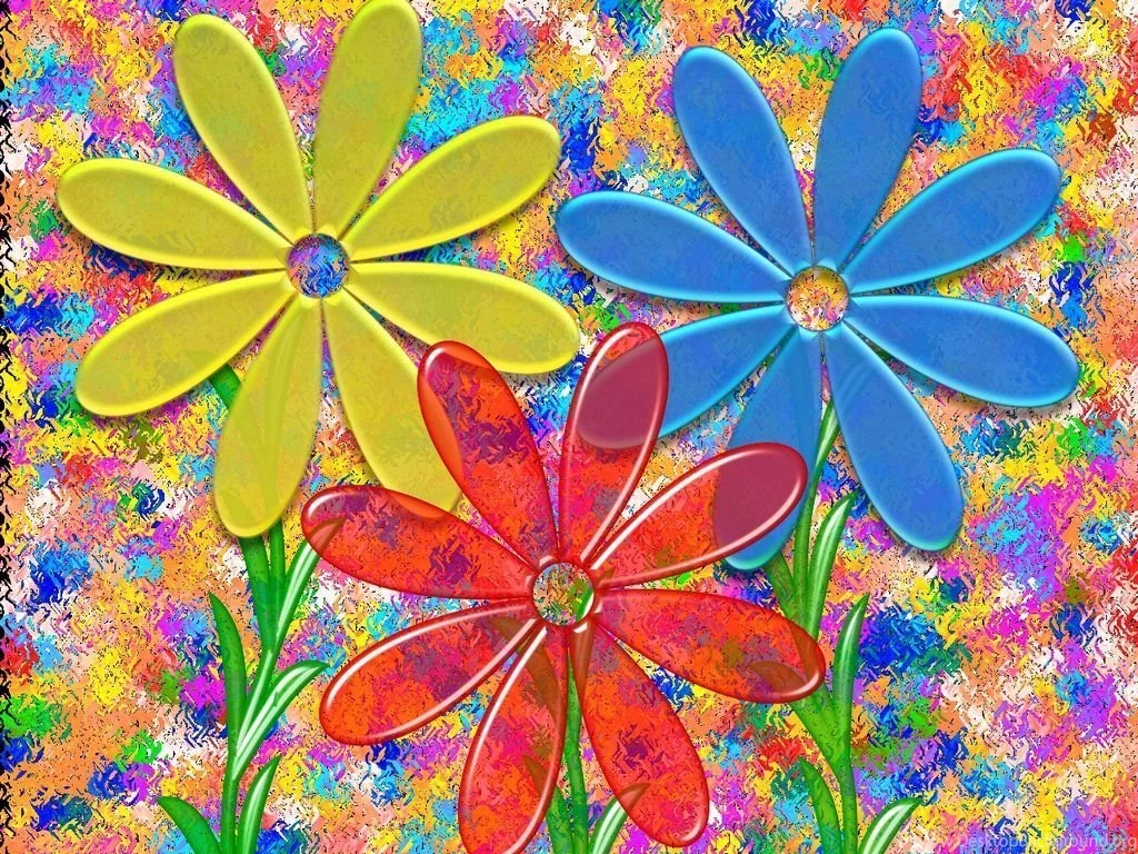 Colorful Daisies HD Wallpapers