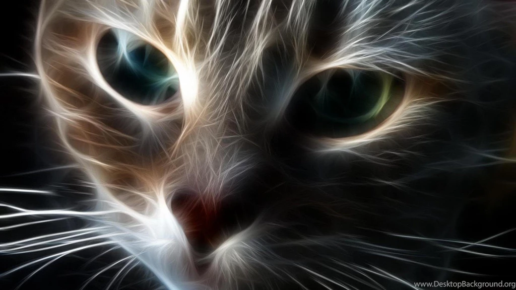 Beautiful Cat (
