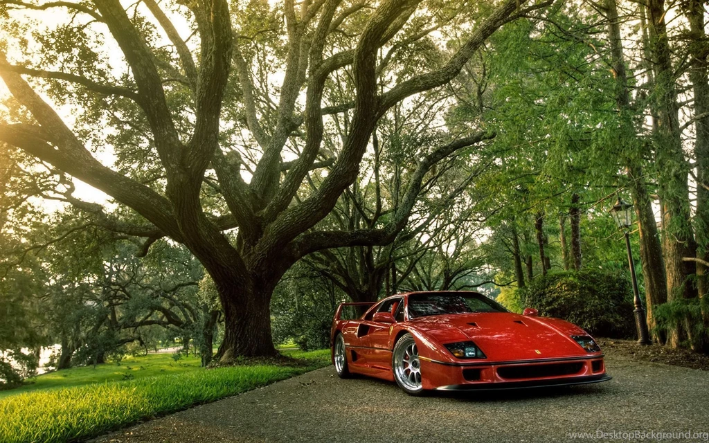 Cars HD Wallpapers   Page 19