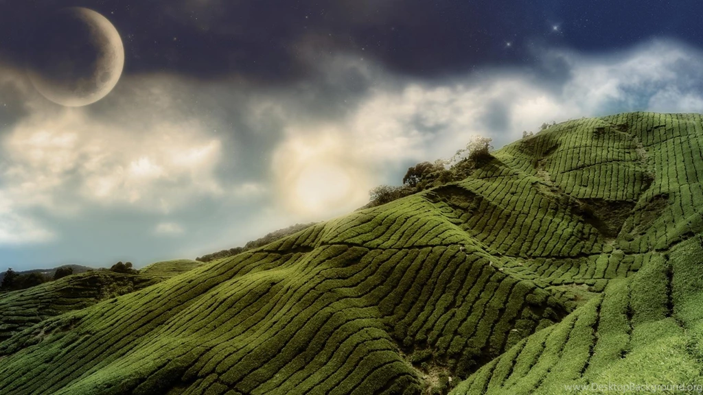 Beautiful Landscape Plantation Hd1080p (