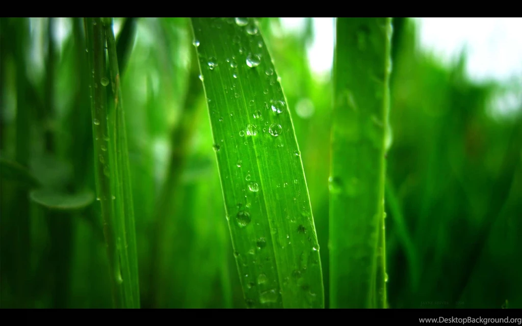 Green Field Wallpapers 4331 HD Wallpapers
