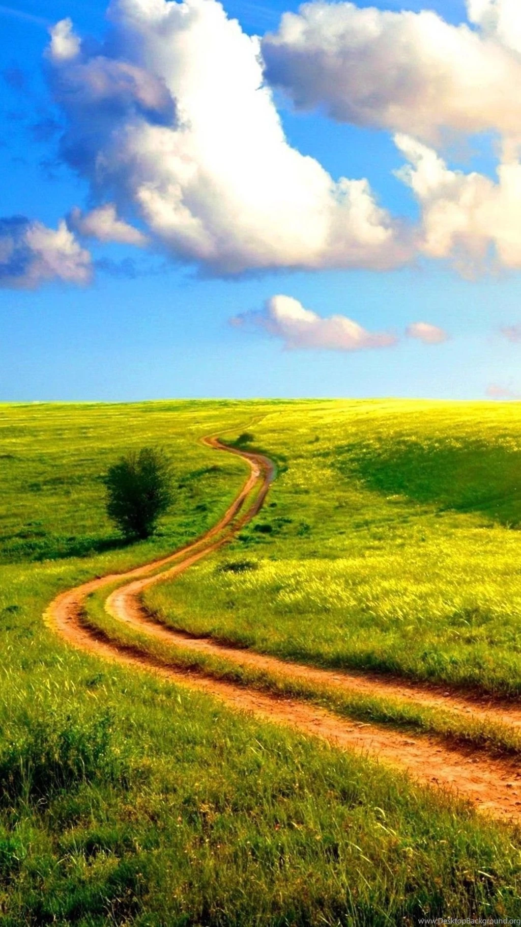5 Outstanding iPhone 6 Plus Full HD Nature Wallpapers I Am Qurat