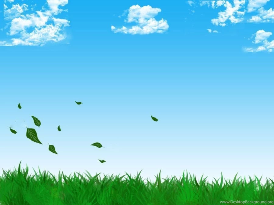 PEACE OF MIND WALLPAPER By Zithirax35 On DeviantArt