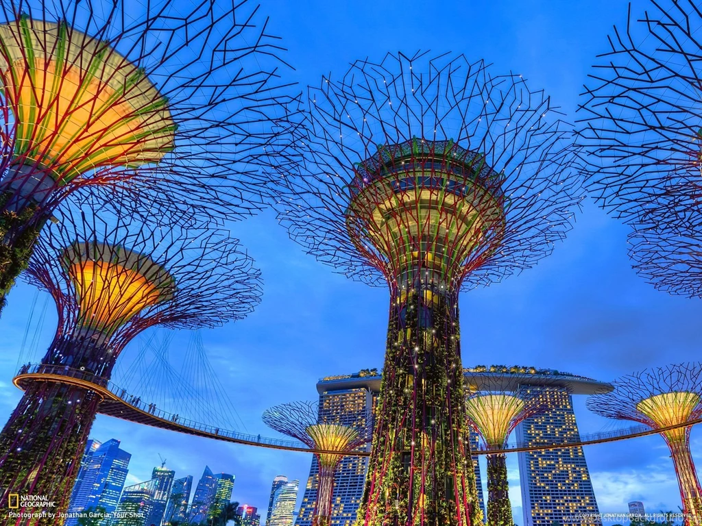Gardens By The Bay, Singapore Travel 365 National Geographic