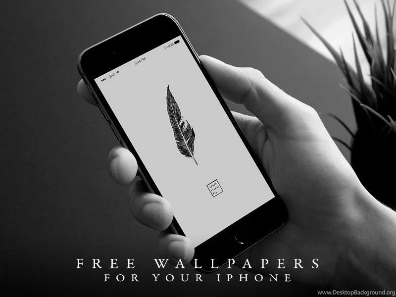 Dribbble   Free Illustrated Wallpapers By Jorge Calvo