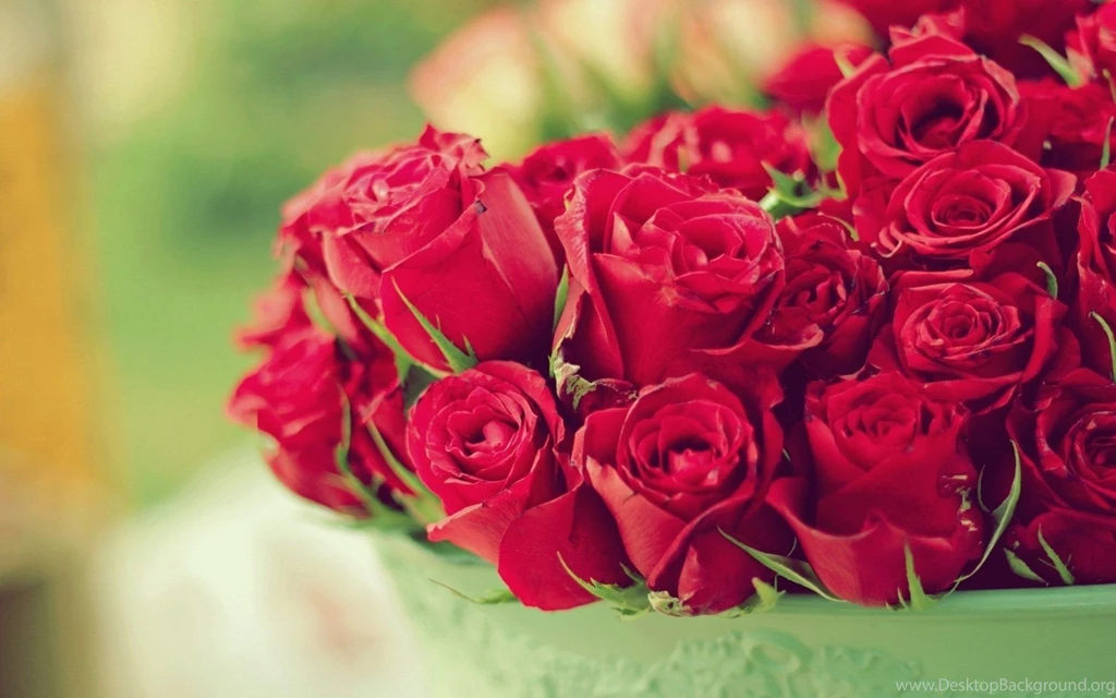 Pictures Of Flowers Roses And Wallpapers Download
