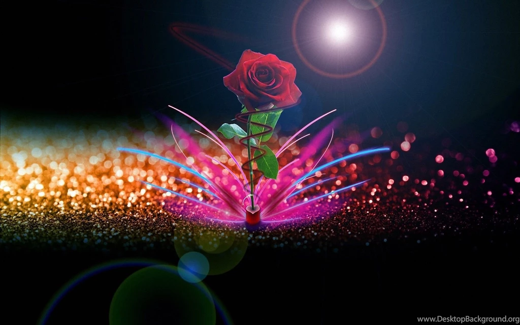 Rose Flower Download Widescreen HD Wallpapers