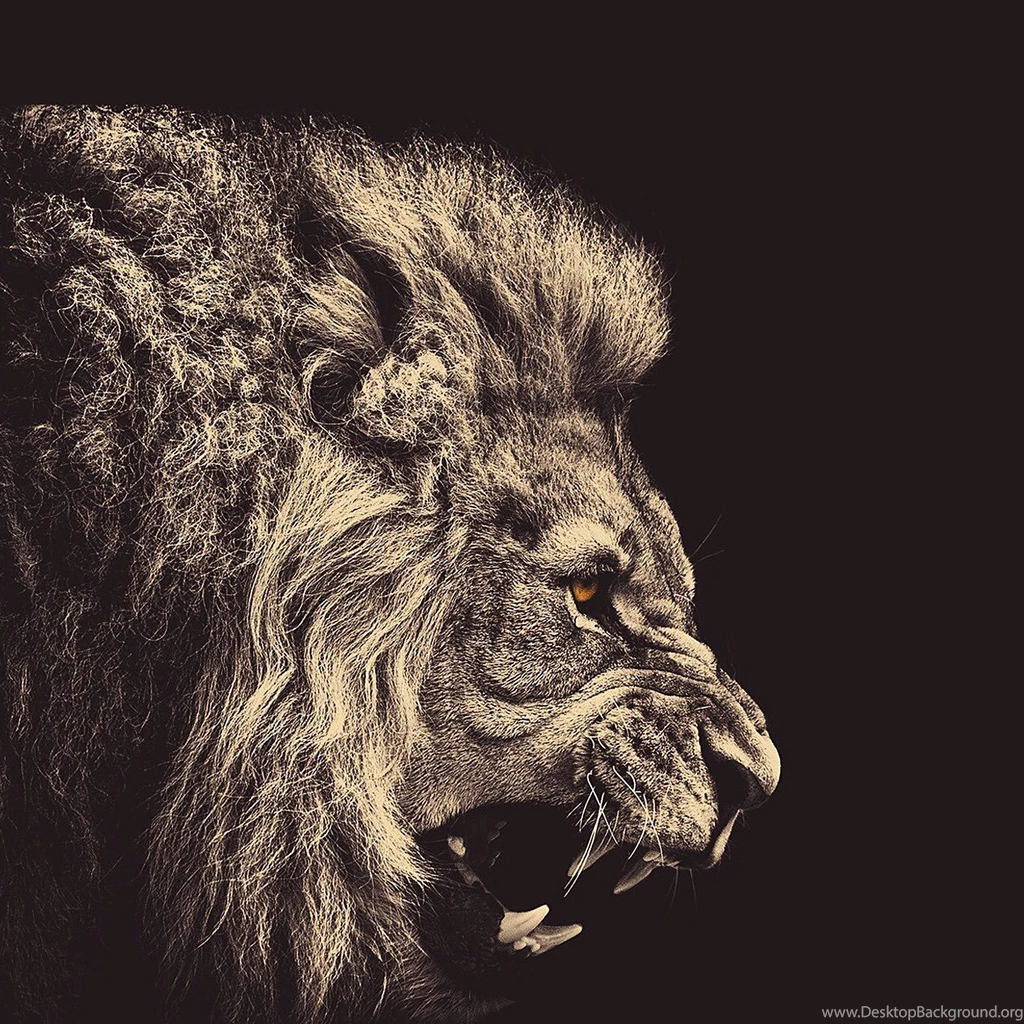 Apple_wallpaper_angry lion2_ipad_retina_parallax.jpg