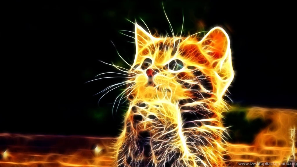 Top Hd 1920x1080 Cute Kitty Images For Pinterest
