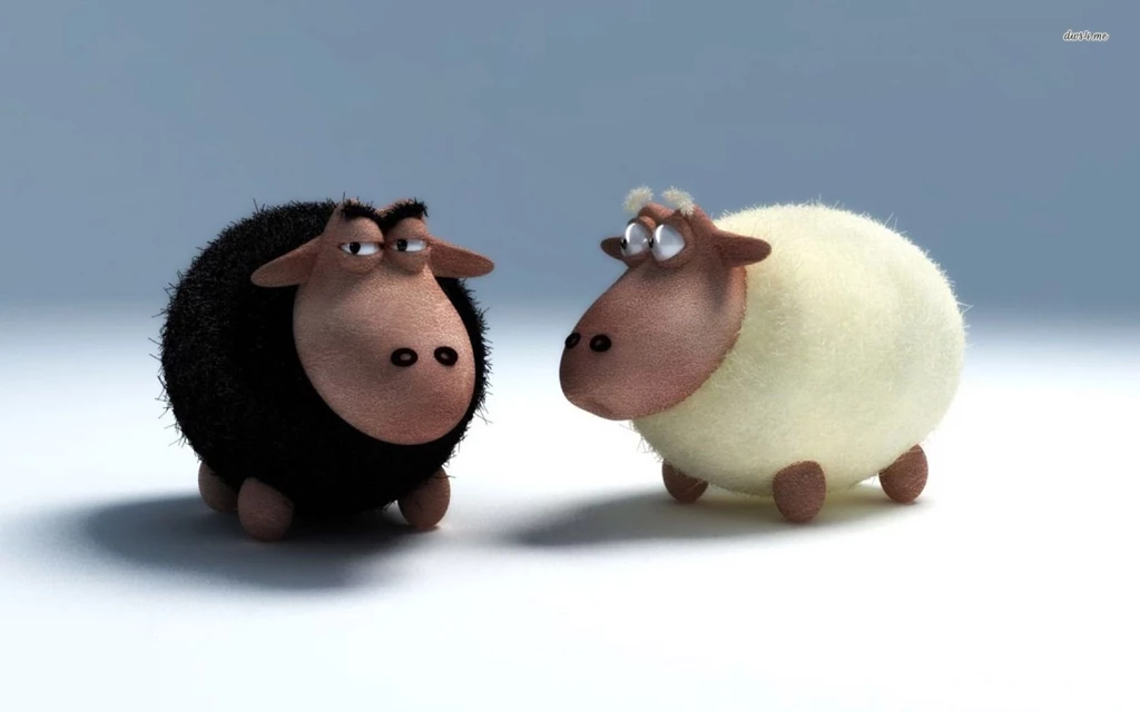 Black And White Sheep Wallpapers Funny Wallpapers