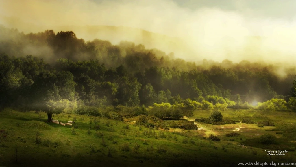 Landscapes Trees Fields Mist Sheep Fresh New Hd Wallpapers [Your ...