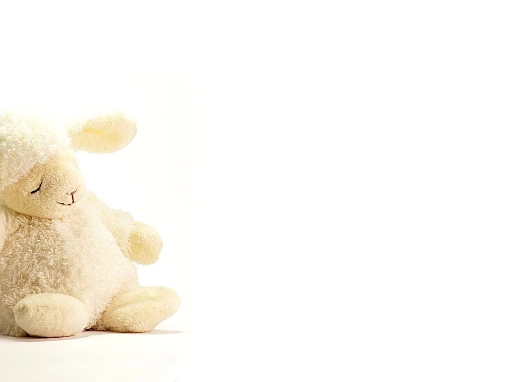 Toy Lamb Wallpapers