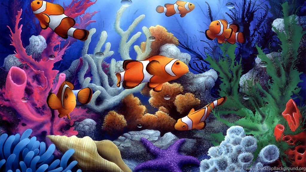 Clown fish coral wallpapers.jpg