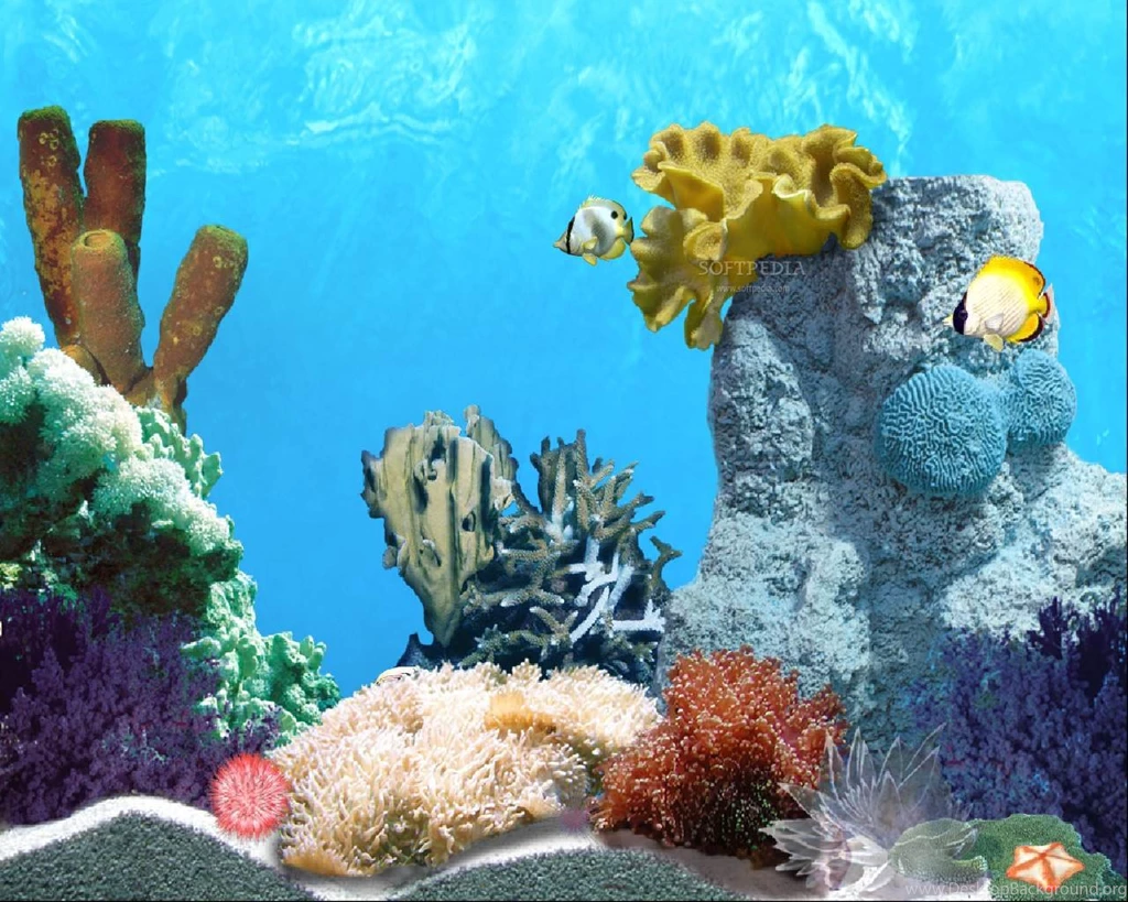 Moving Backgrounds For Computer Fish For Computer Fish Moving ...